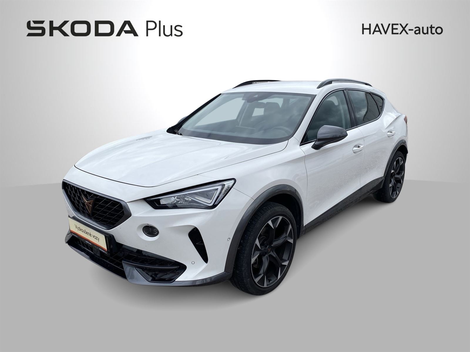 Cupra Formentor 2,0 TSI 4x4 DSG