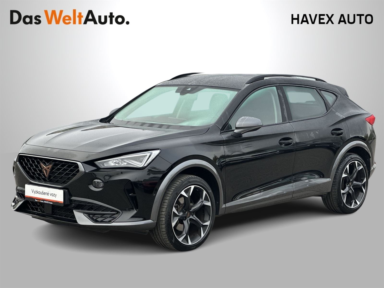 Cupra Formentor 2.0 TSI 4Drive DSG