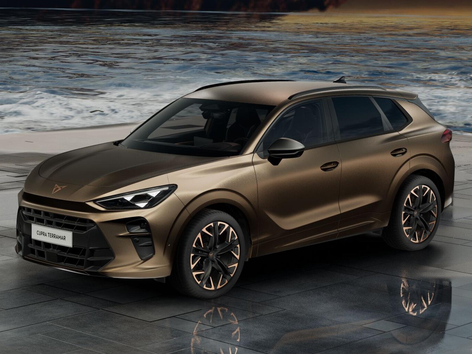 Cupra Terramar 2.0 TSI 204k DSG 4WD