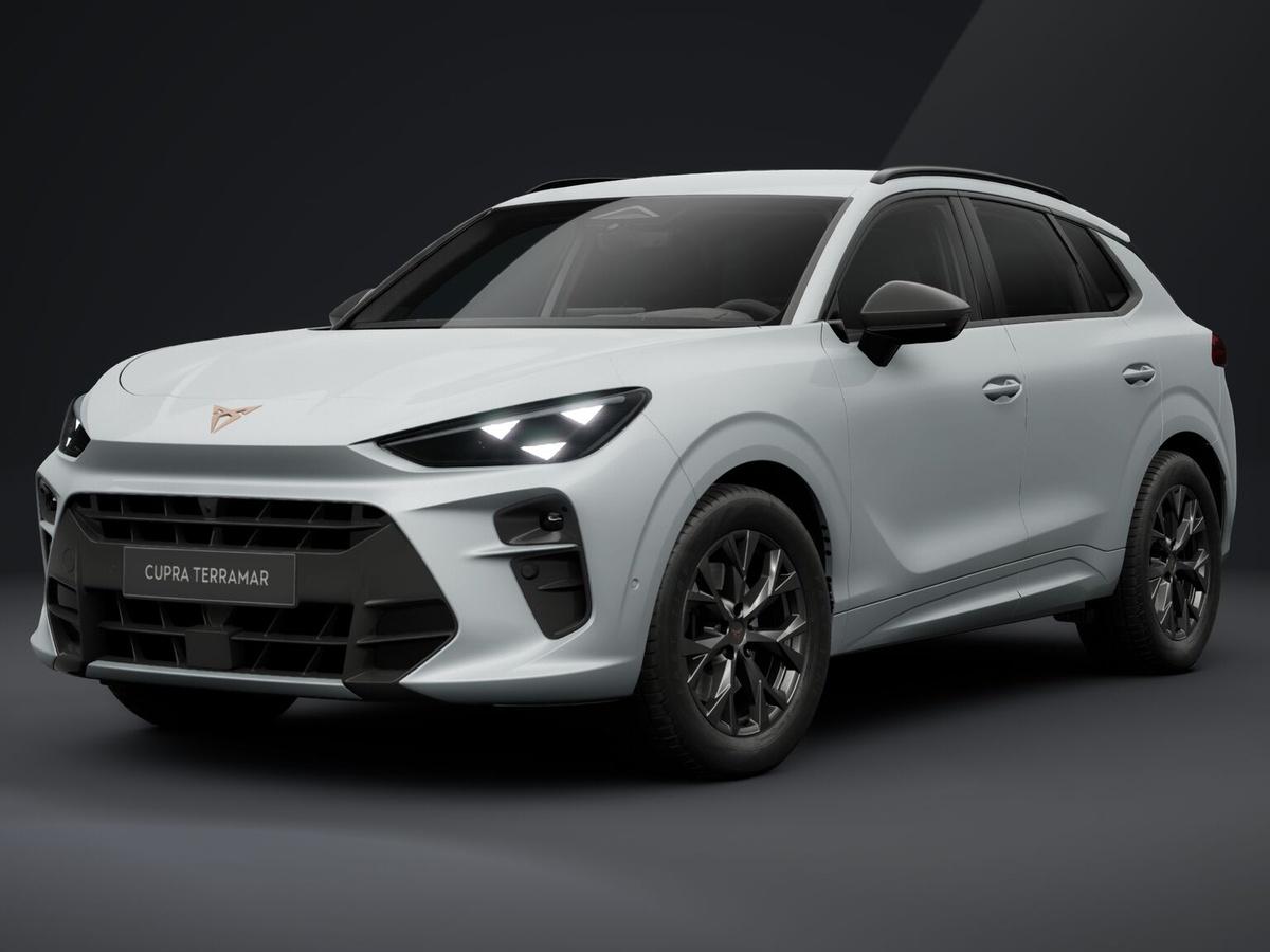 Cupra Terramar 2.0 TSI 204k DSG 4WD
