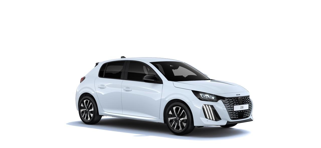 Peugeot 208 BUSINESS Turbo 100 MAN6