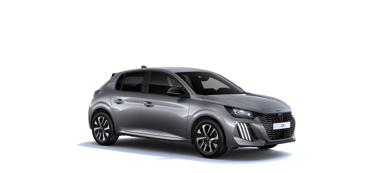 Peugeot 208 BUSINESS Turbo 100 MAN6