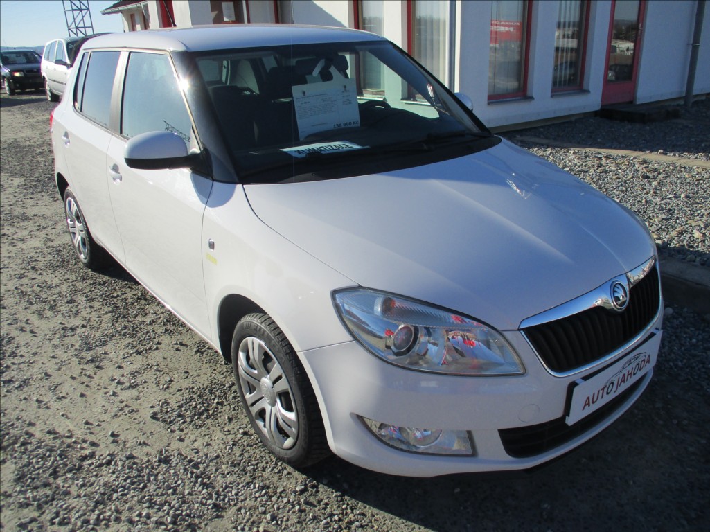 Škoda Fabia 1,2 TSI, aut.klima,serv.kniha,