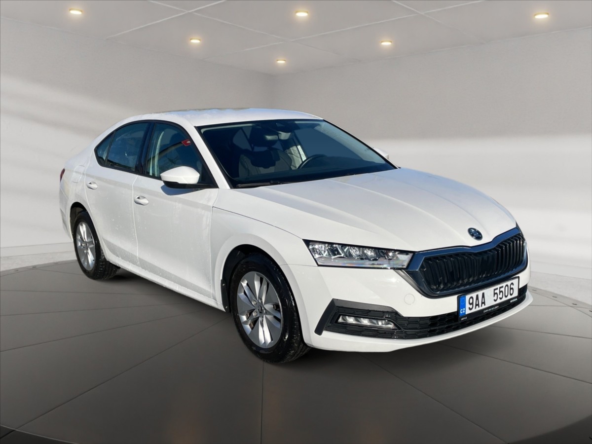 Škoda Octavia 2,0 TDI Ambition