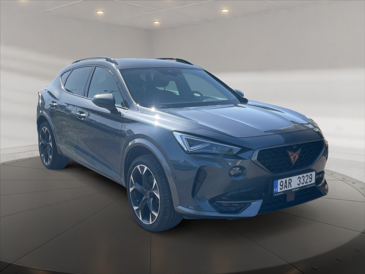 Cupra Formentor 2,0 TSI DSG