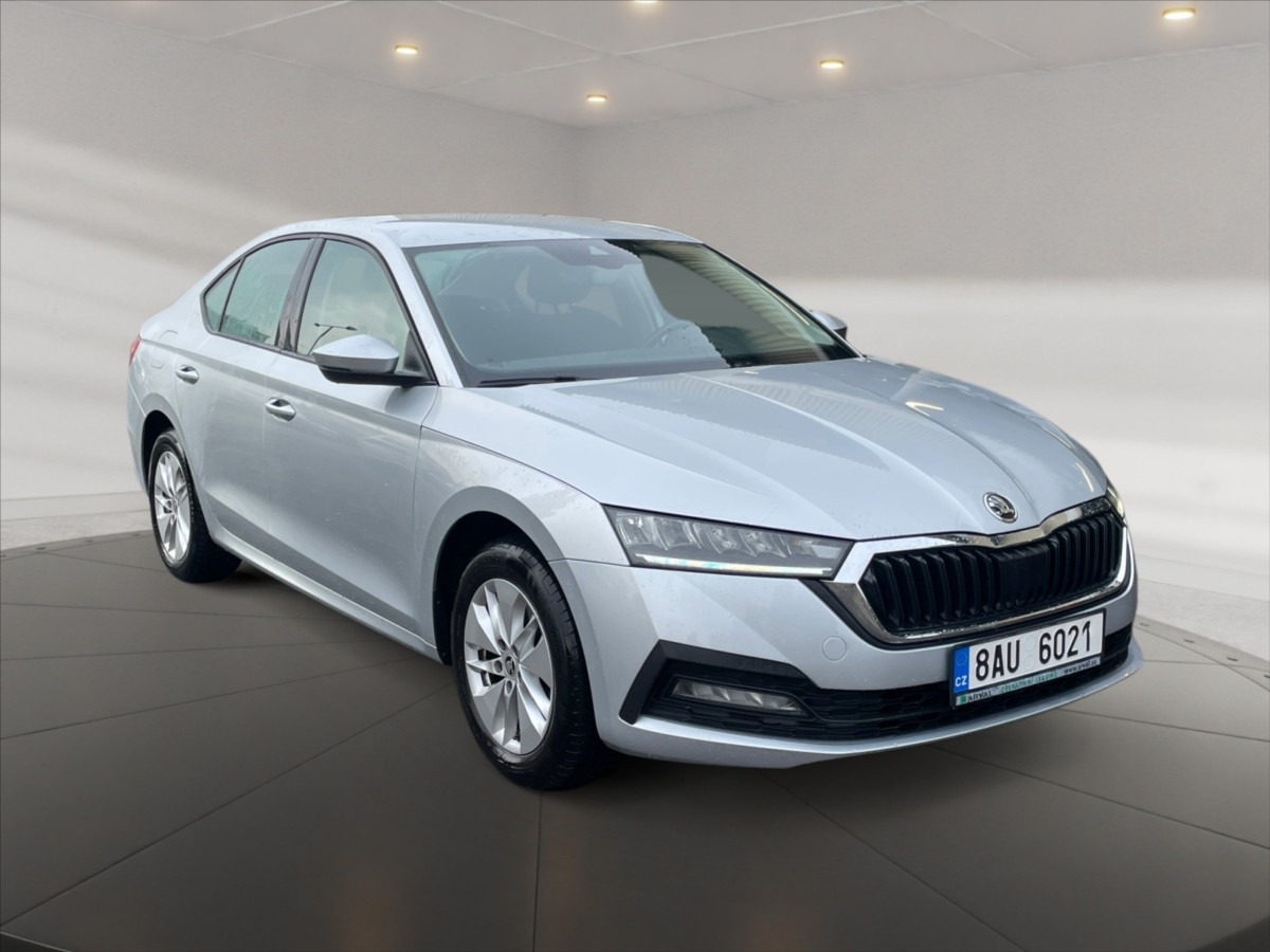 Škoda Octavia 2,0 TDI Ambition