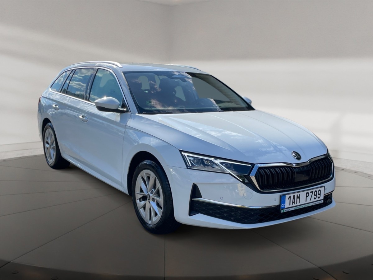 Škoda Octavia 2,0 TDI Top Selection 4x4 DSG