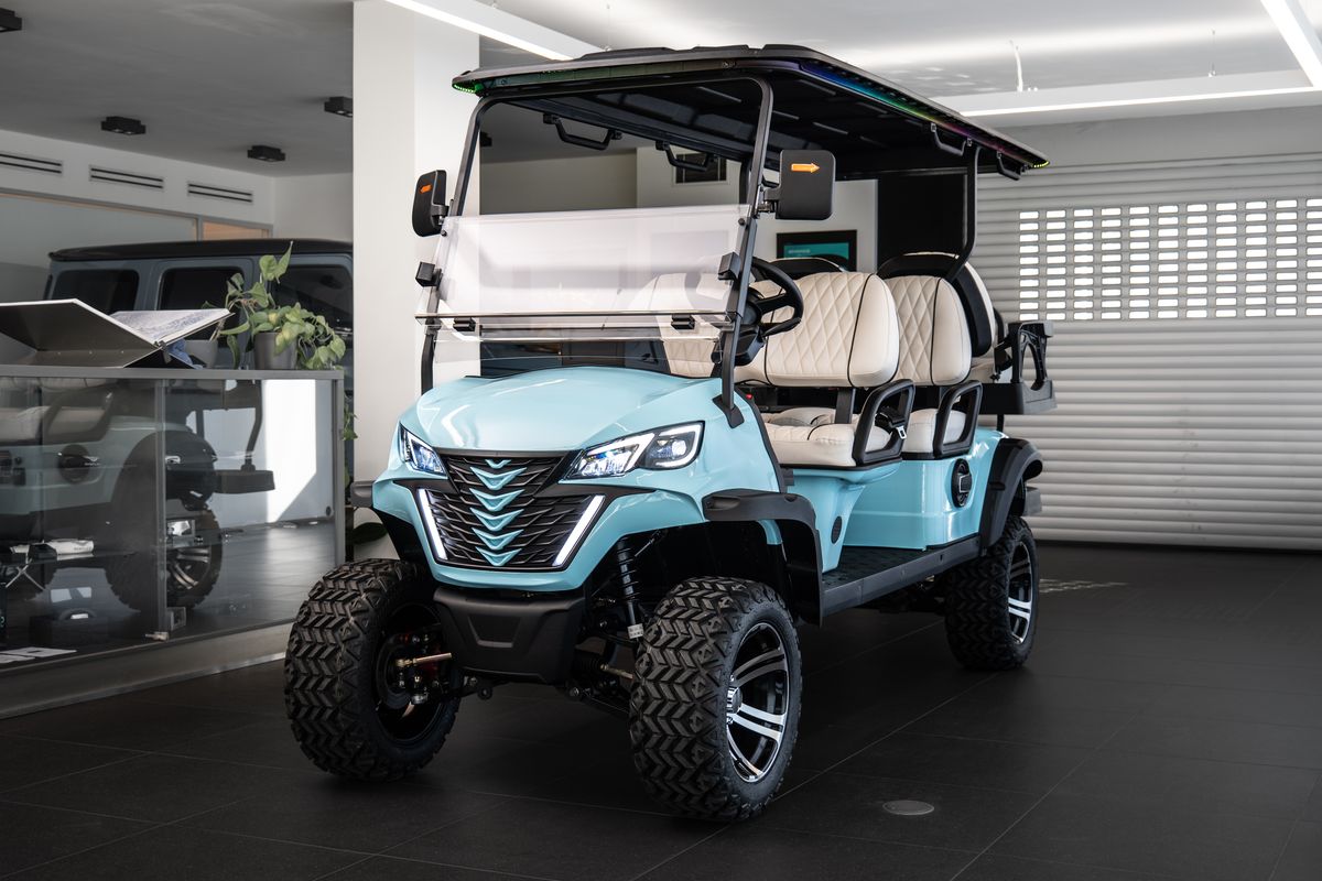 4+2 Golf Cart Kamera/Navigace