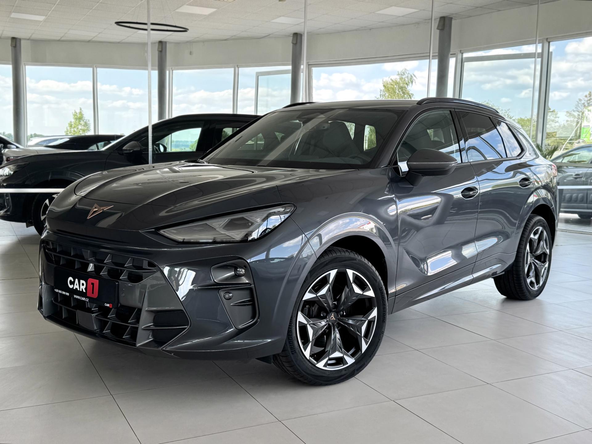 Cupra Terramar 2,0TSI VZ 265*4x4*DPH*5Let*Zár