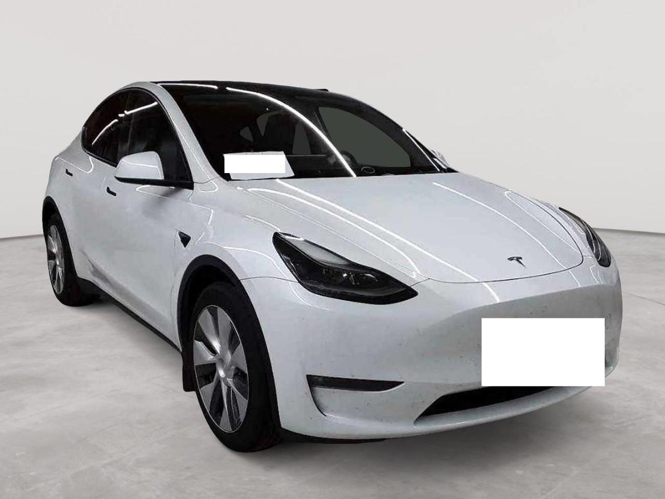 Tesla Model Y LONG RANGE DUAL MOTOR 378kw TZ