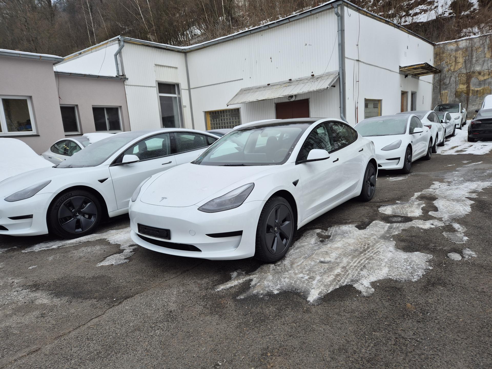 Tesla Model 3 STANDART RANGE PLUS 239kw
