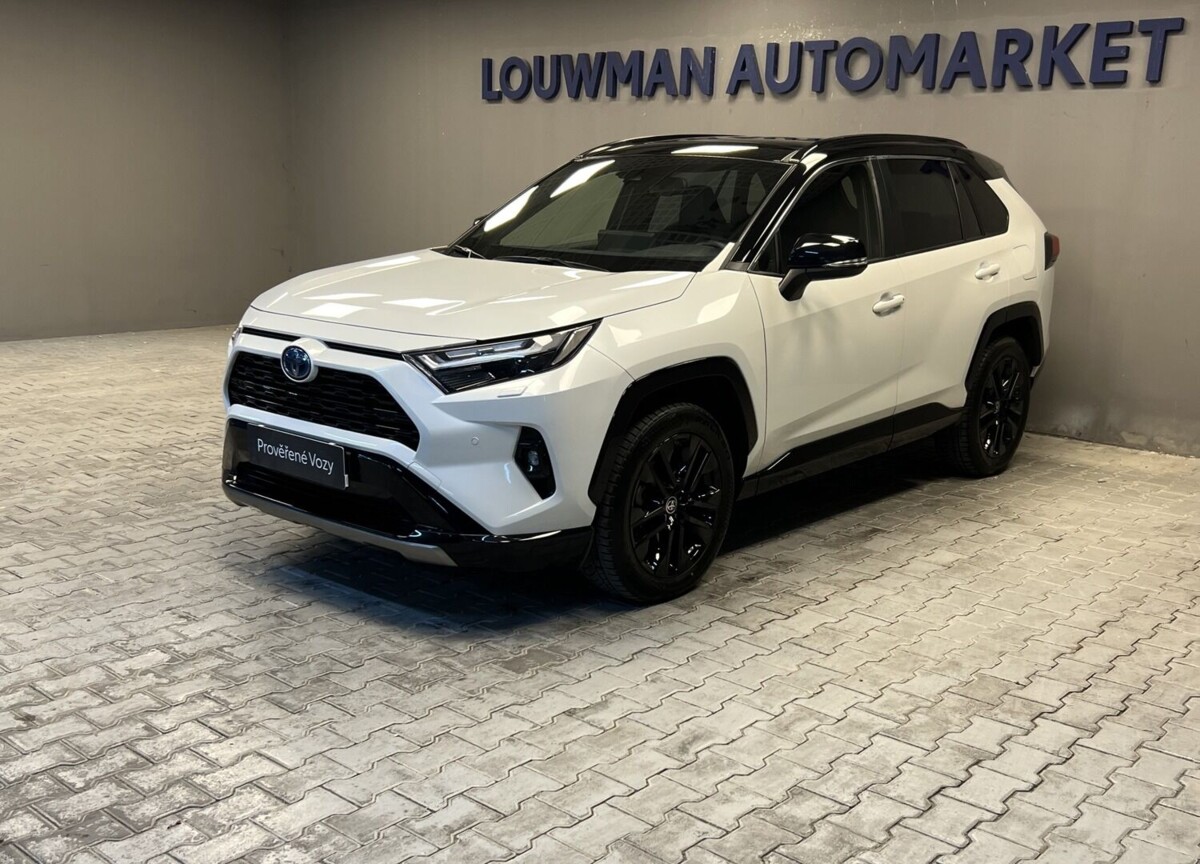 Toyota RAV4 2.5 Hybrid AT SELECTION SKYVIE