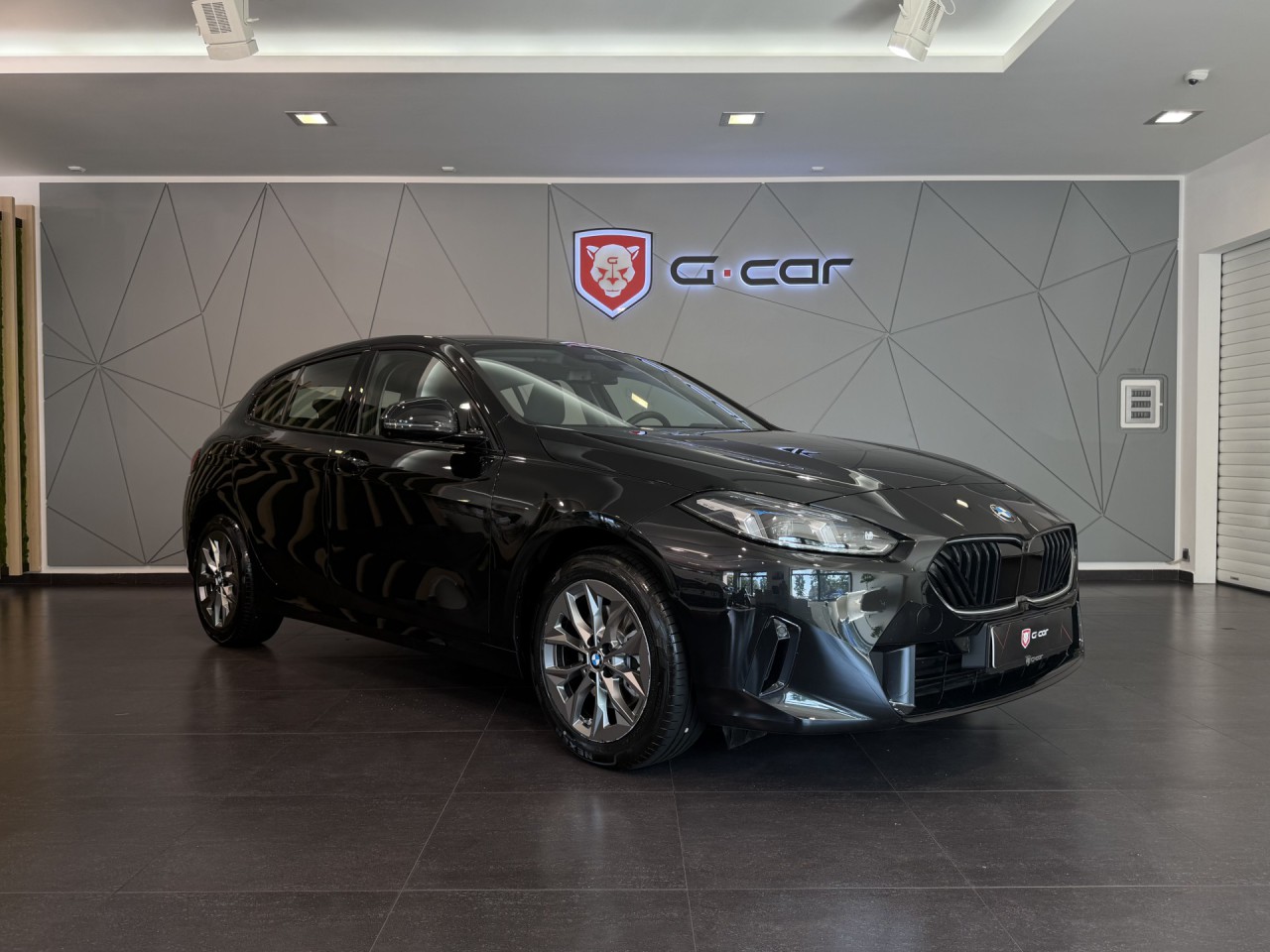 BMW Řada 1 116 AT Driving Assistant Pro