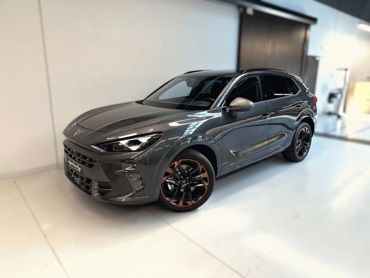 Cupra Terramar 2.0 TSI 204k DSG 4WD *DCC*INT.