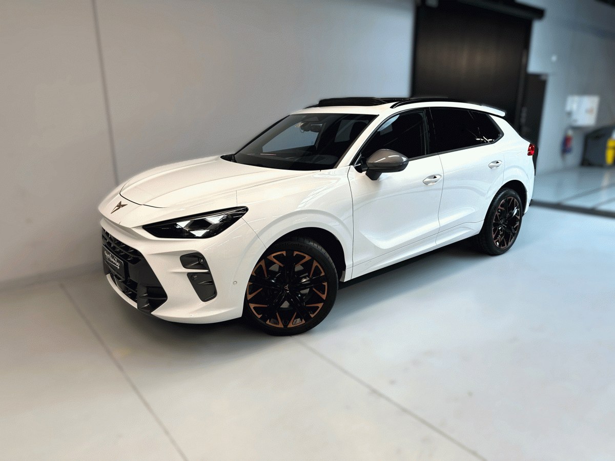 Cupra Terramar 2.0 TSI 265k 4WD DSG *HD MTRX*