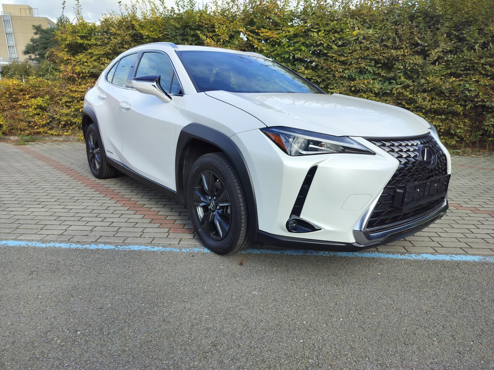 Lexus UX 250h black-white edition, kůže
