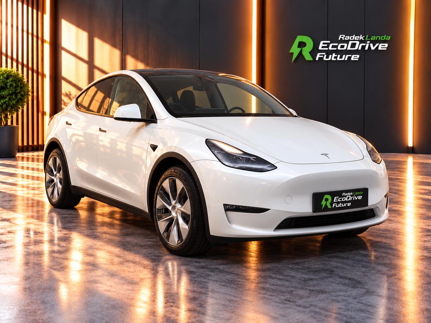Tesla Model Y Long Range AWD Berlin