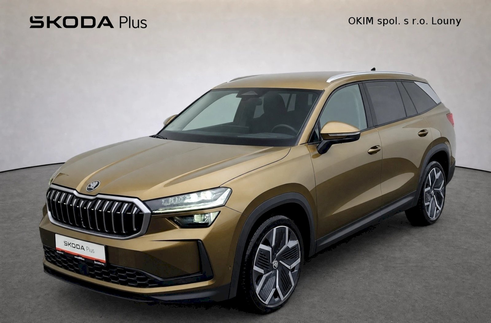 Škoda Kodiaq Top Selection 2,0 Tdi 142 Kw 4